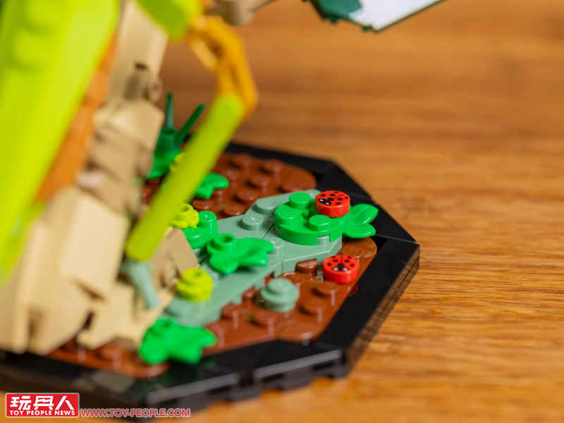 LEGO 21342 Ideas 系列「昆蟲集錦」開箱報告 超乎預期的逼真生物感＆大加分的棲息地展示底座！