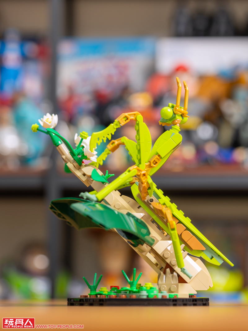 LEGO 21342 Ideas 系列「昆蟲集錦」開箱報告 超乎預期的逼真生物感＆大加分的棲息地展示底座！