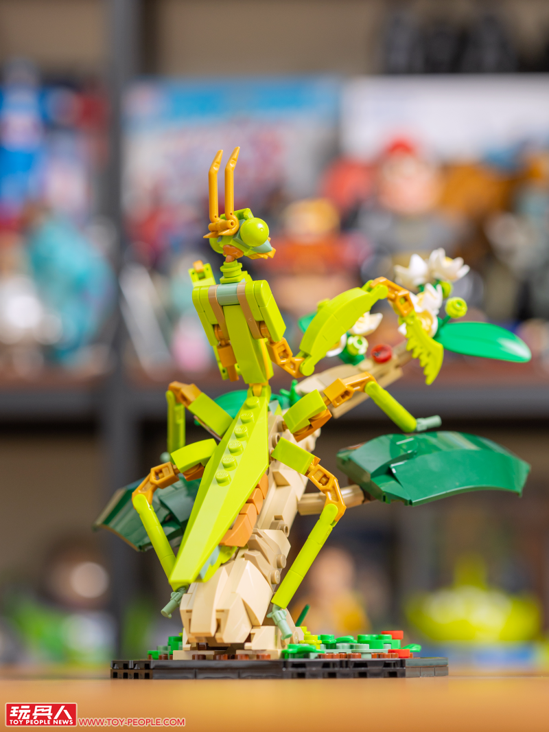 LEGO 21342 Ideas 系列「昆蟲集錦」開箱報告 超乎預期的逼真生物感＆大加分的棲息地展示底座！