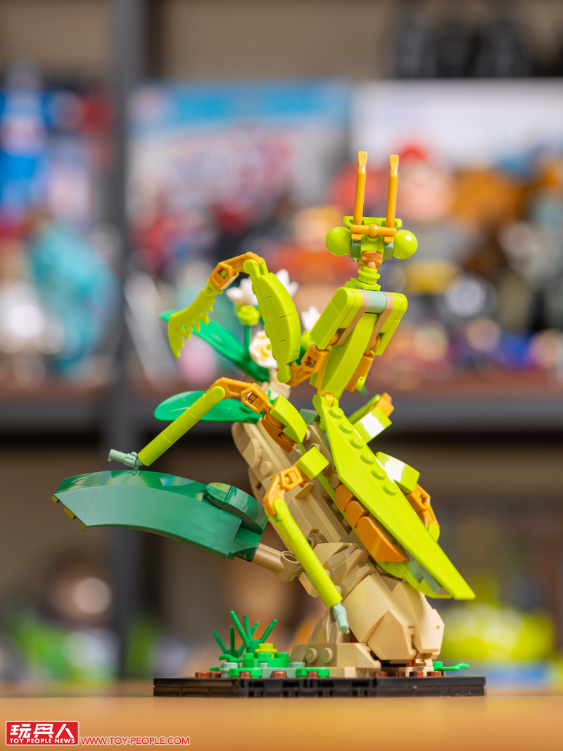 LEGO 21342 Ideas 系列「昆蟲集錦」開箱報告 超乎預期的逼真生物感＆大加分的棲息地展示底座！