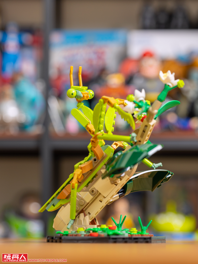 LEGO 21342 Ideas 系列「昆蟲集錦」開箱報告 超乎預期的逼真生物感＆大加分的棲息地展示底座！