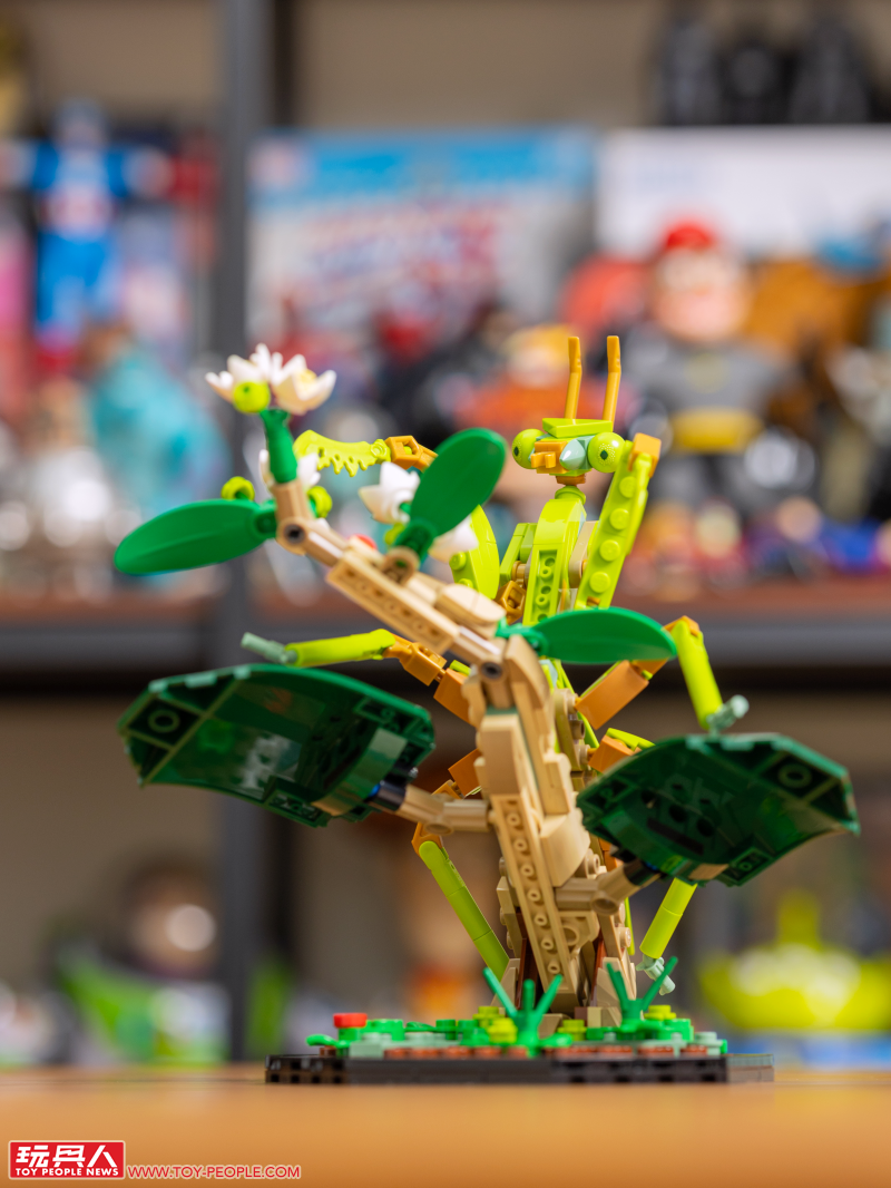 LEGO 21342 Ideas 系列「昆蟲集錦」開箱報告 超乎預期的逼真生物感＆大加分的棲息地展示底座！