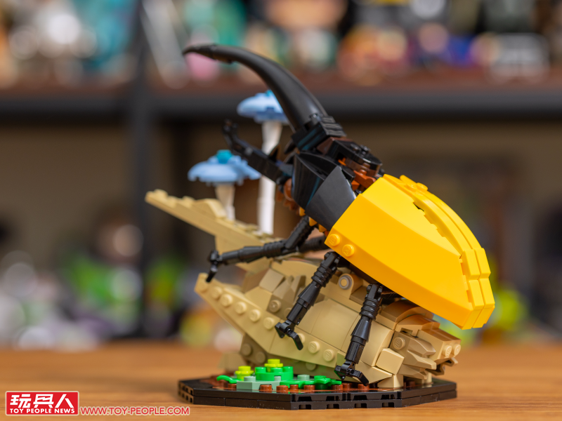 LEGO 21342 Ideas 系列「昆蟲集錦」開箱報告 超乎預期的逼真生物感＆大加分的棲息地展示底座！