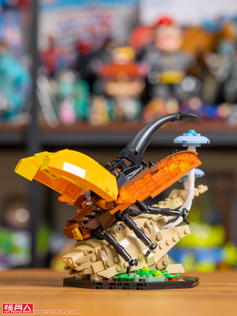 LEGO 21342 Ideas 系列「昆蟲集錦」開箱報告 超乎預期的逼真生物感＆大加分的棲息地展示底座！