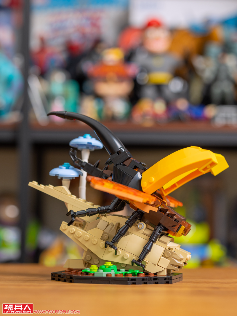 LEGO 21342 Ideas 系列「昆蟲集錦」開箱報告 超乎預期的逼真生物感＆大加分的棲息地展示底座！