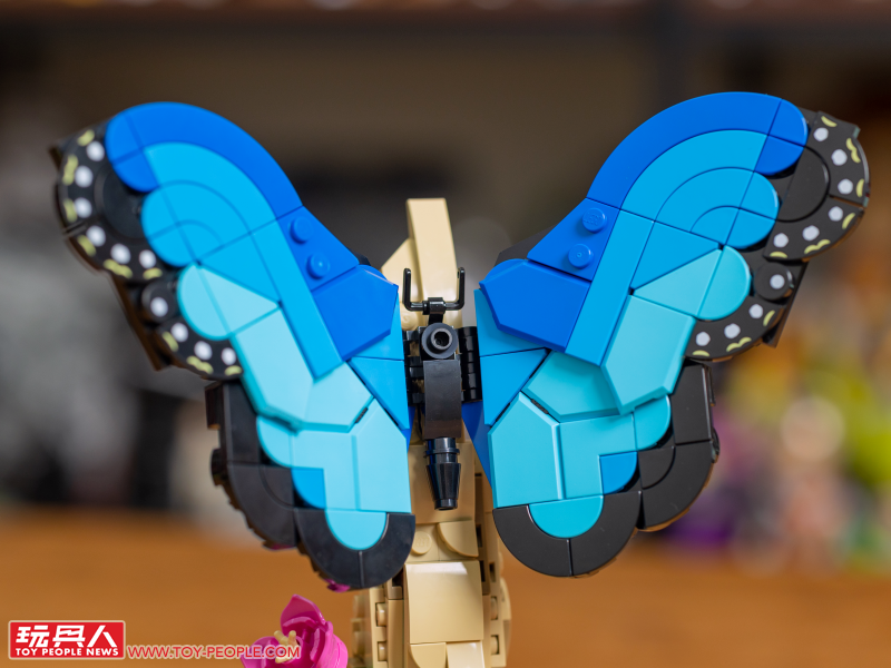 LEGO 21342 Ideas 系列「昆蟲集錦」開箱報告 超乎預期的逼真生物感＆大加分的棲息地展示底座！