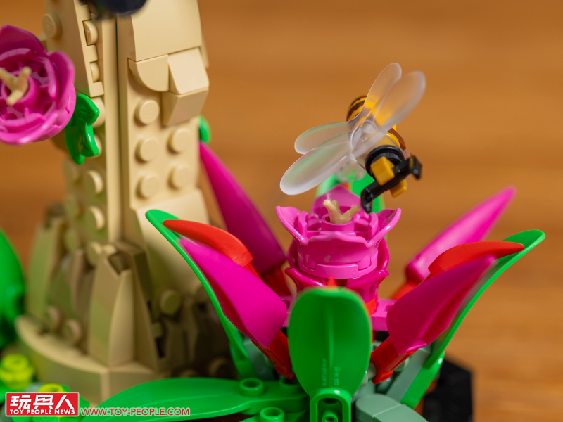 LEGO 21342 Ideas 系列「昆蟲集錦」開箱報告 超乎預期的逼真生物感＆大加分的棲息地展示底座！