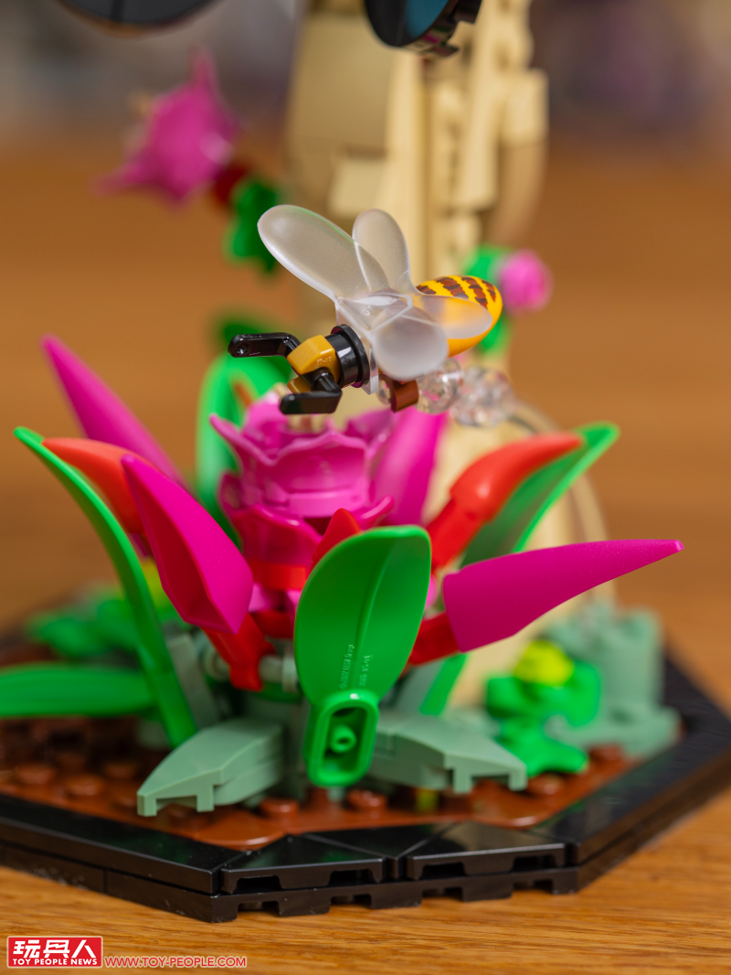 LEGO 21342 Ideas 系列「昆蟲集錦」開箱報告 超乎預期的逼真生物感＆大加分的棲息地展示底座！