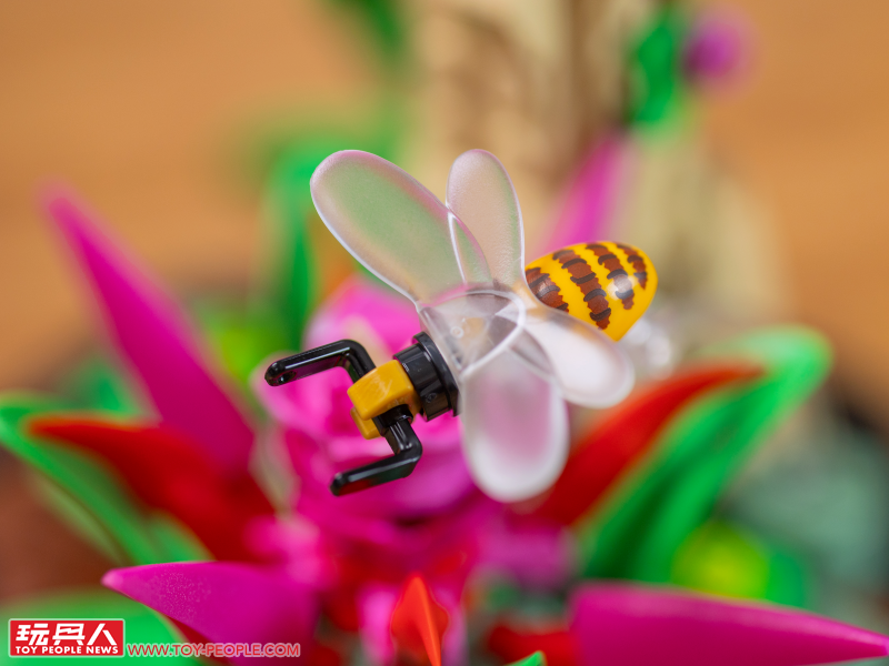 LEGO 21342 Ideas 系列「昆蟲集錦」開箱報告 超乎預期的逼真生物感＆大加分的棲息地展示底座！