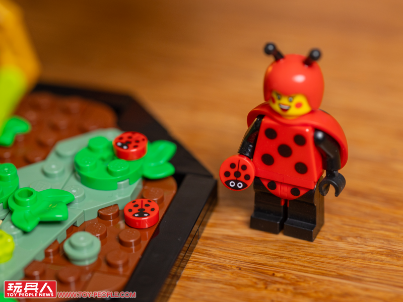 LEGO 21342 Ideas 系列「昆蟲集錦」開箱報告 超乎預期的逼真生物感＆大加分的棲息地展示底座！