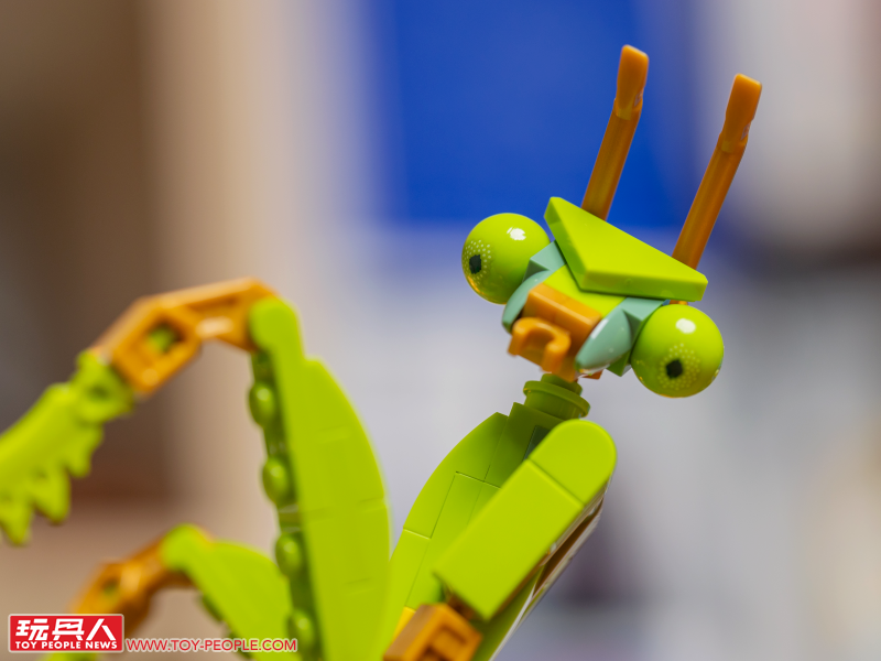 LEGO 21342 Ideas 系列「昆蟲集錦」開箱報告 超乎預期的逼真生物感＆大加分的棲息地展示底座！