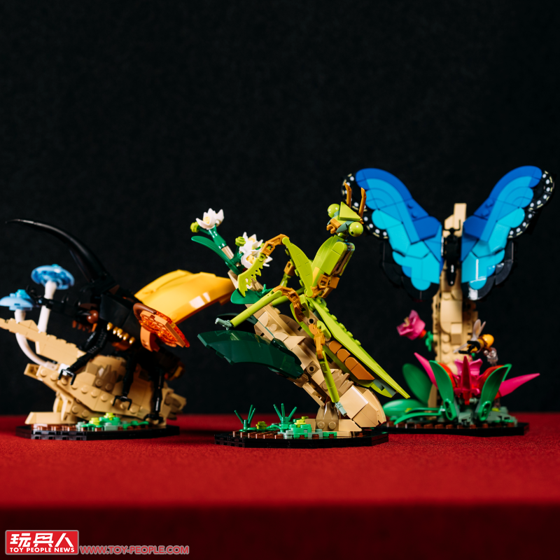 LEGO 21342 Ideas 系列「昆蟲集錦」開箱報告 超乎預期的逼真生物感&大加分的棲息地展示底座!