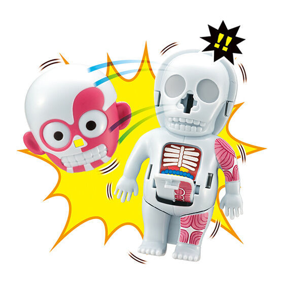 MEGAHOUSE「讓人心跳加速的人體模型 (ドキドキ人体模型) mini」轉蛋