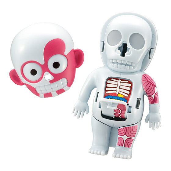 MEGAHOUSE「讓人心跳加速的人體模型 (ドキドキ人体模型) mini」轉蛋