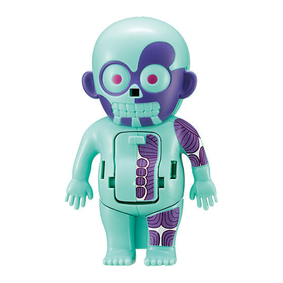 MEGAHOUSE「讓人心跳加速的人體模型 (ドキドキ人体模型) mini」轉蛋