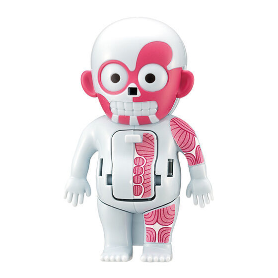 MEGAHOUSE「讓人心跳加速的人體模型 (ドキドキ人体模型) mini」轉蛋