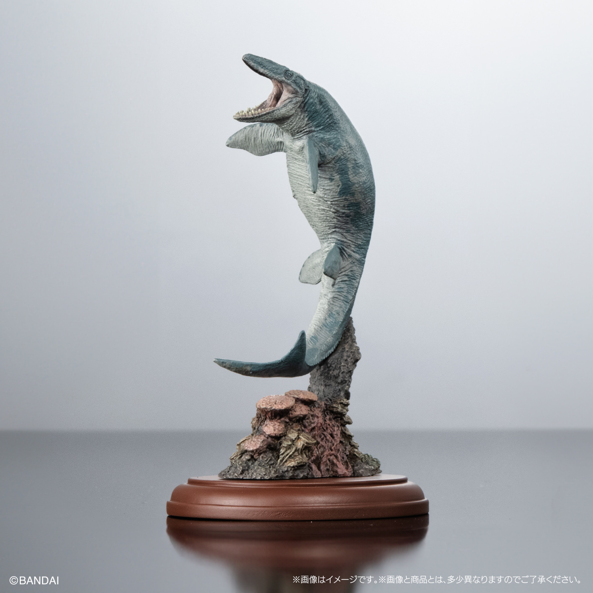 萬代GASHAPON『生物大圖鑑展示模型收藏 恐龍01』轉蛋 大人氣霸王龍、三角龍小尺寸再現!