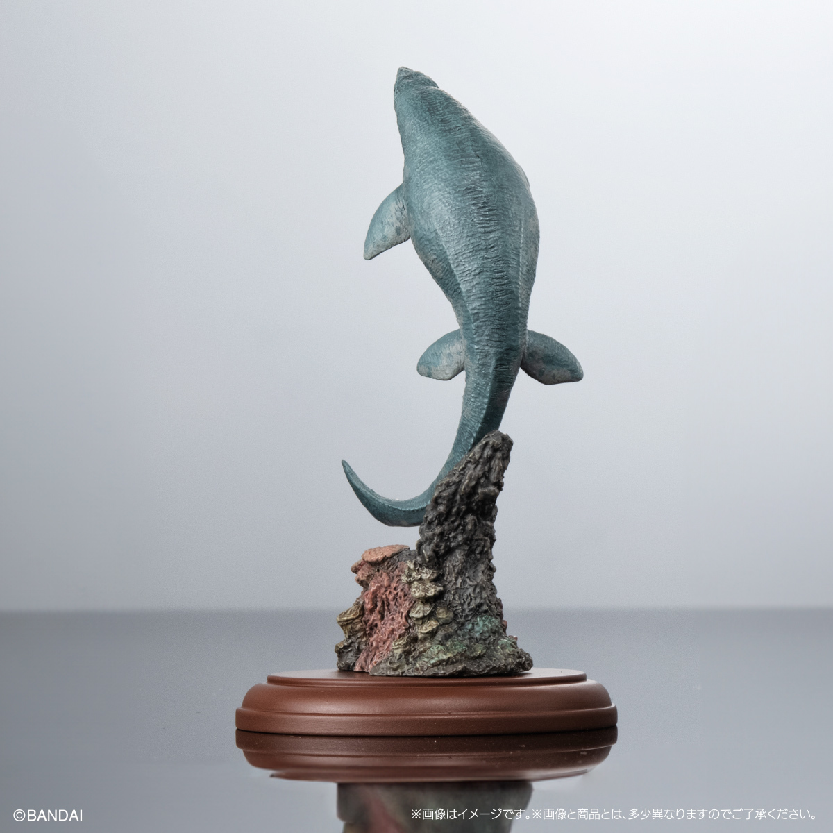 萬代GASHAPON『生物大圖鑑展示模型收藏 恐龍01』轉蛋 大人氣霸王龍、三角龍小尺寸再現!