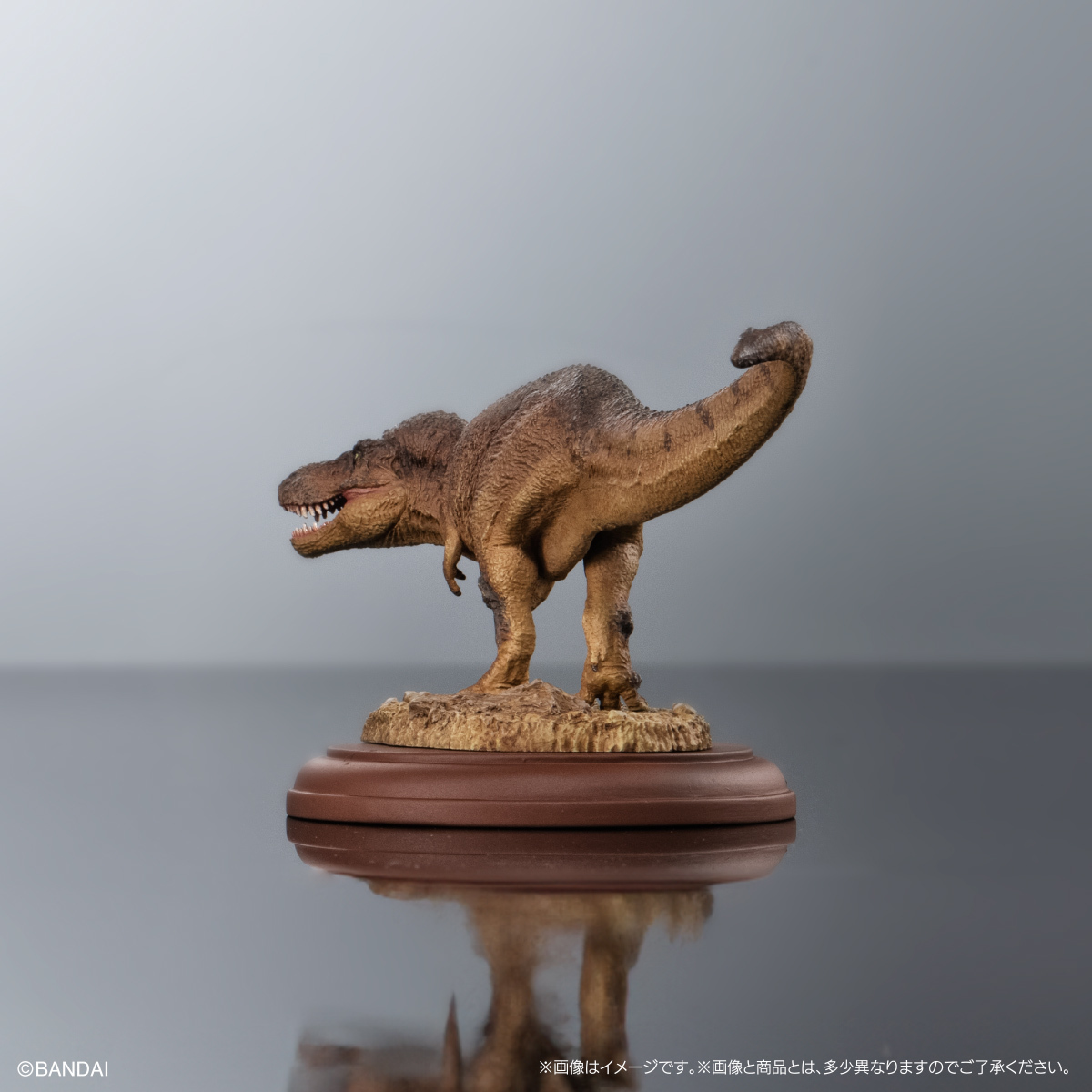 萬代GASHAPON『生物大圖鑑展示模型收藏 恐龍01』轉蛋 大人氣霸王龍、三角龍小尺寸再現！