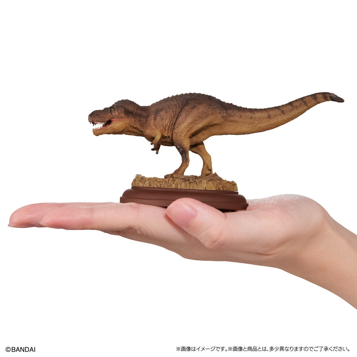 萬代GASHAPON『生物大圖鑑展示模型收藏 恐龍01』轉蛋 大人氣霸王龍、三角龍小尺寸再現！