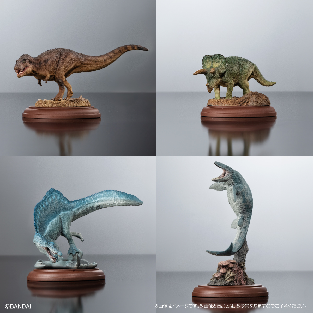 萬代GASHAPON『生物大圖鑑展示模型收藏 恐龍01』轉蛋 大人氣霸王龍、三角龍小尺寸再現！