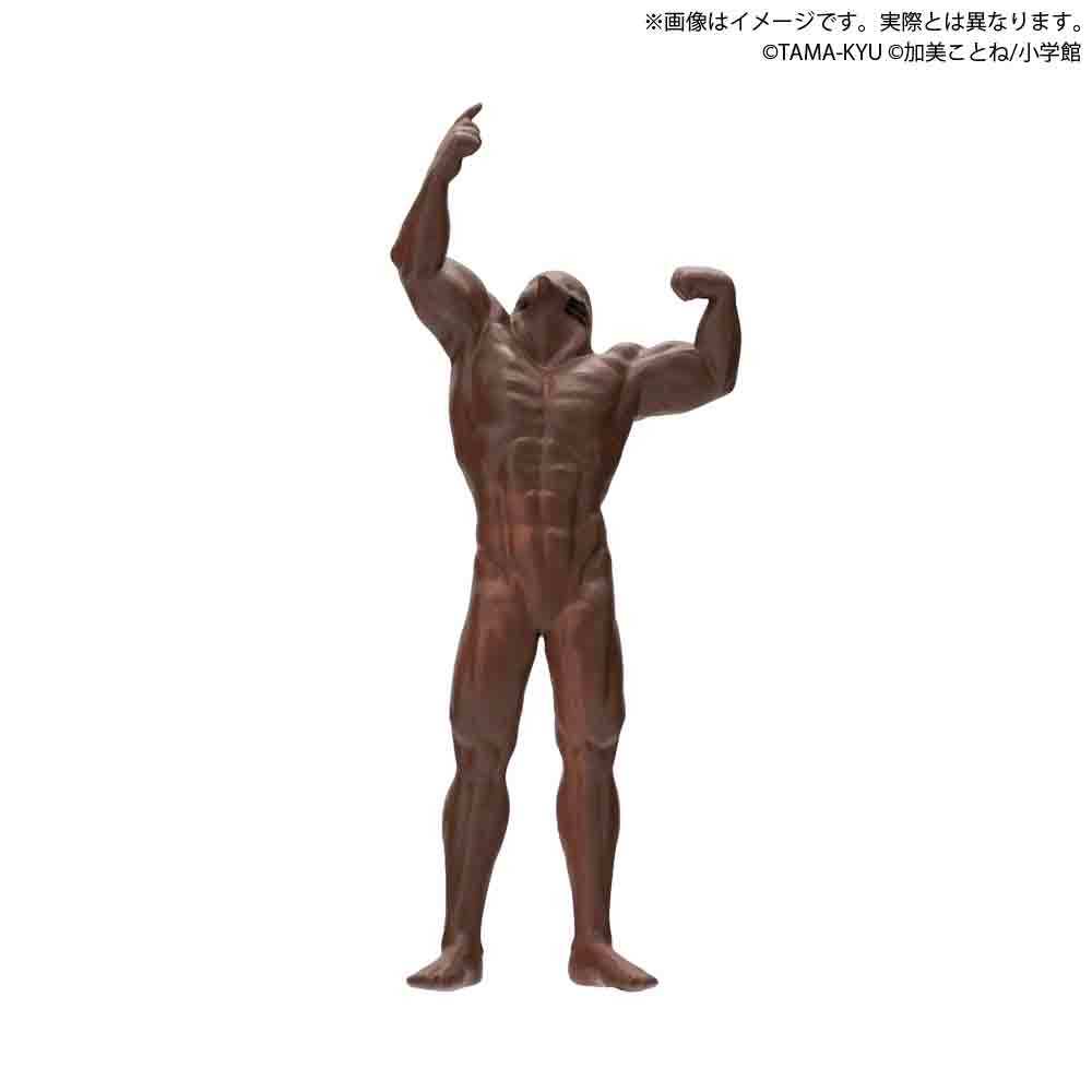 TAMA-KYU「鼴鼠 ~泥土裡的真相~」轉蛋 這世上,多的是你不知道的鼠~(モグラ ~土の中の真実~)