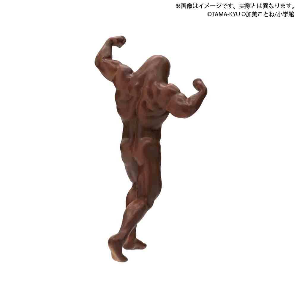 TAMA-KYU「鼴鼠 ~泥土裡的真相~」轉蛋 這世上,多的是你不知道的鼠~(モグラ ~土の中の真実~)