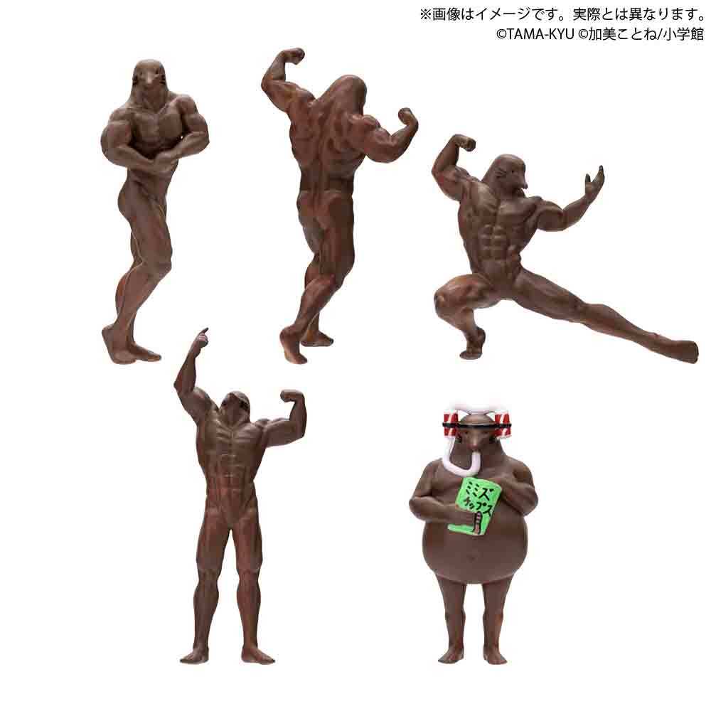 TAMA-KYU「鼴鼠 ~泥土裡的真相~」轉蛋 這世上,多的是你不知道的鼠~(モグラ ~土の中の真実~)