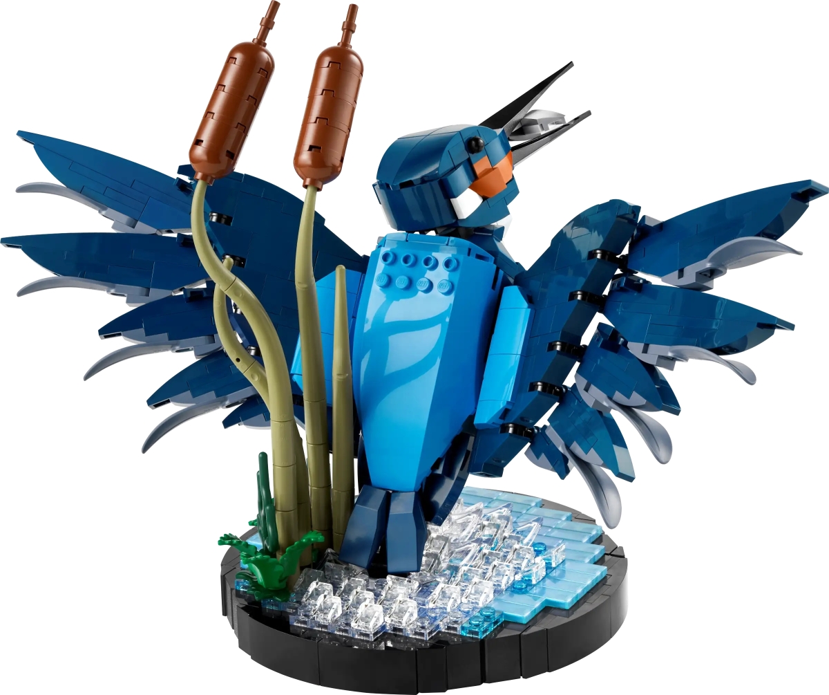 LEGO 10331 Icons 系列「翠鳥」捕魚成功的動感瞬間樂高化!(Kingfisher Bird)