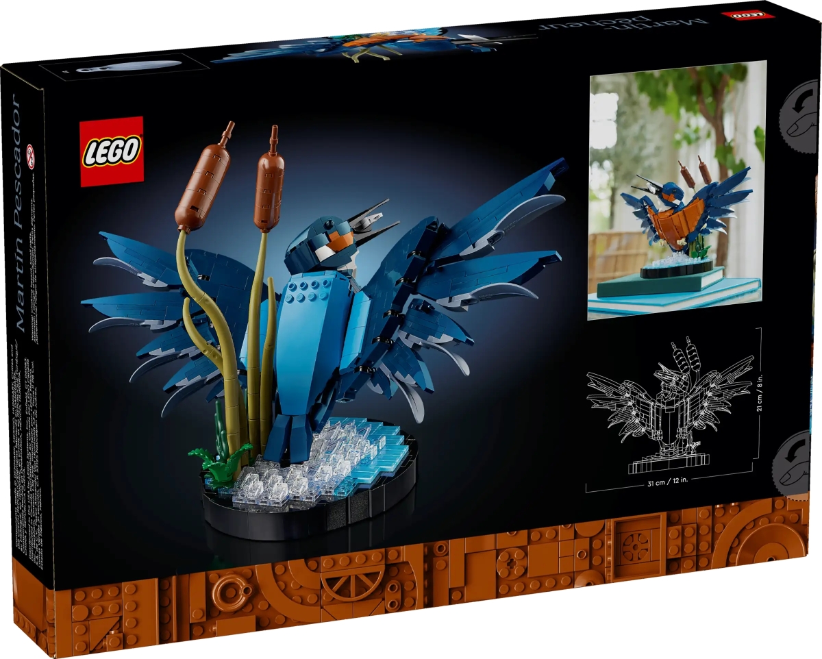 LEGO 10331 Icons 系列「翠鳥」捕魚成功的動感瞬間樂高化!(Kingfisher Bird)