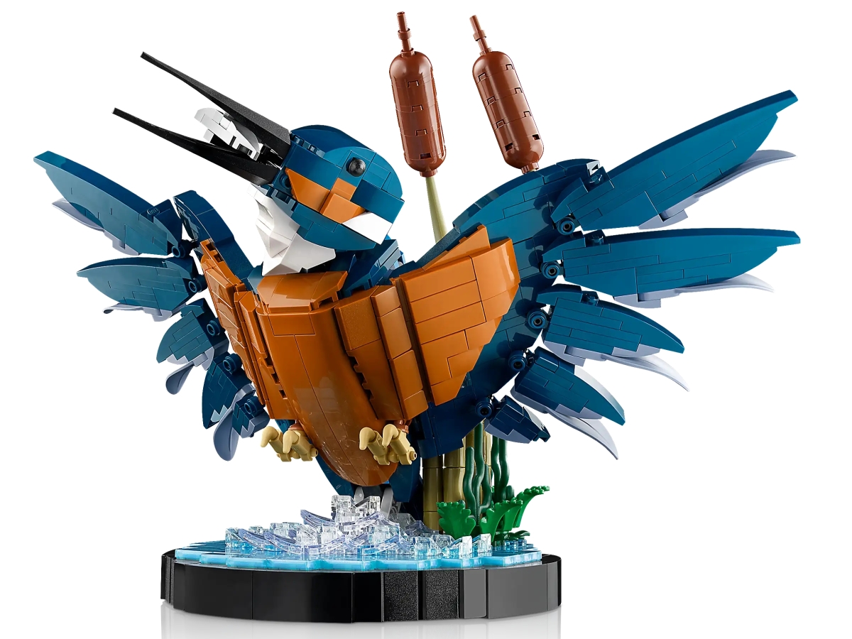 LEGO 10331 Icons 系列「翠鳥」捕魚成功的動感瞬間樂高化!(Kingfisher Bird)
