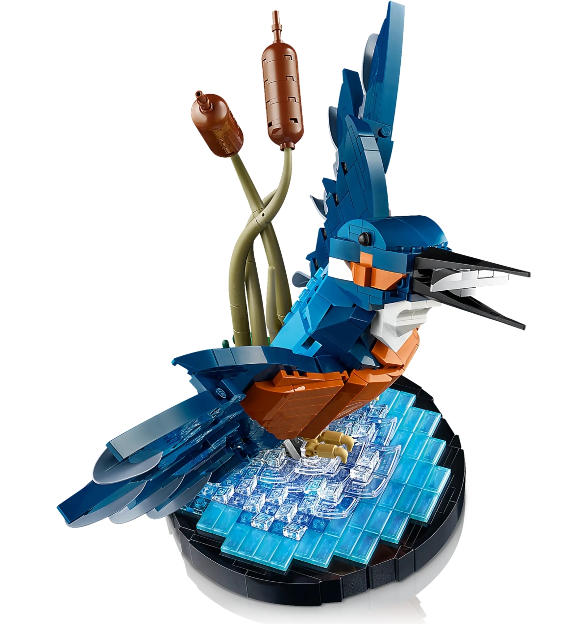 LEGO 10331 Icons 系列「翠鳥」捕魚成功的動感瞬間樂高化!(Kingfisher Bird)