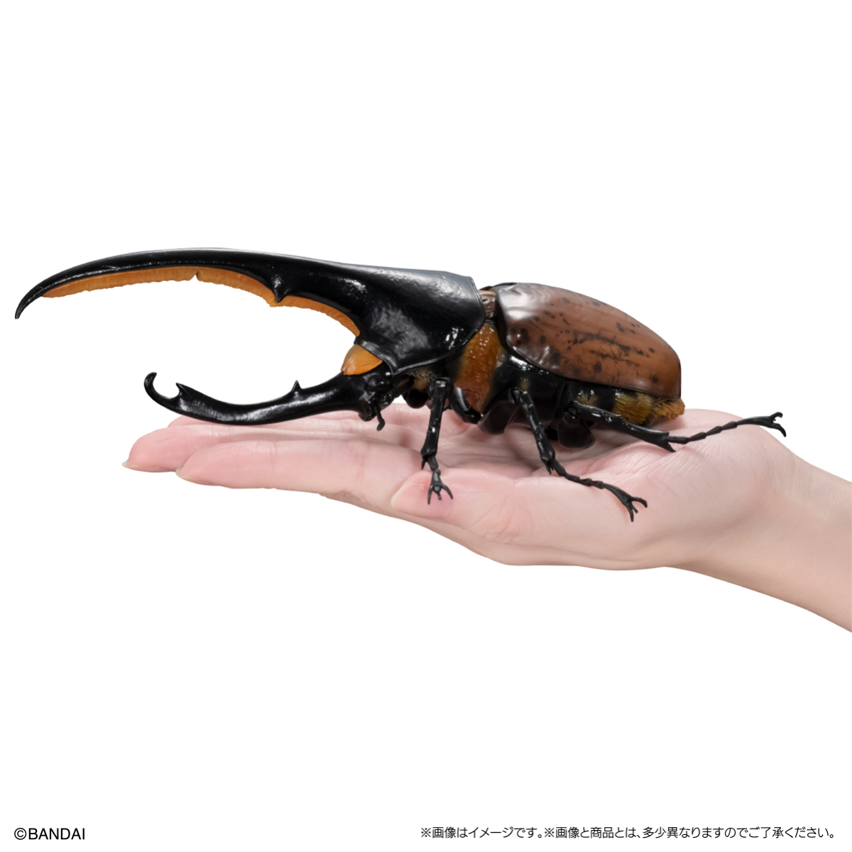 萬代『生物大圖鑑Ultimate 赫克力士長戟大兜蟲』轉蛋 31處可動關節、替換鞘翅極逼真還原!