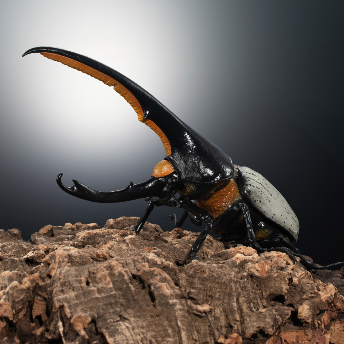 萬代『生物大圖鑑Ultimate 赫克力士長戟大兜蟲』轉蛋 31處可動關節、替換鞘翅極逼真還原!