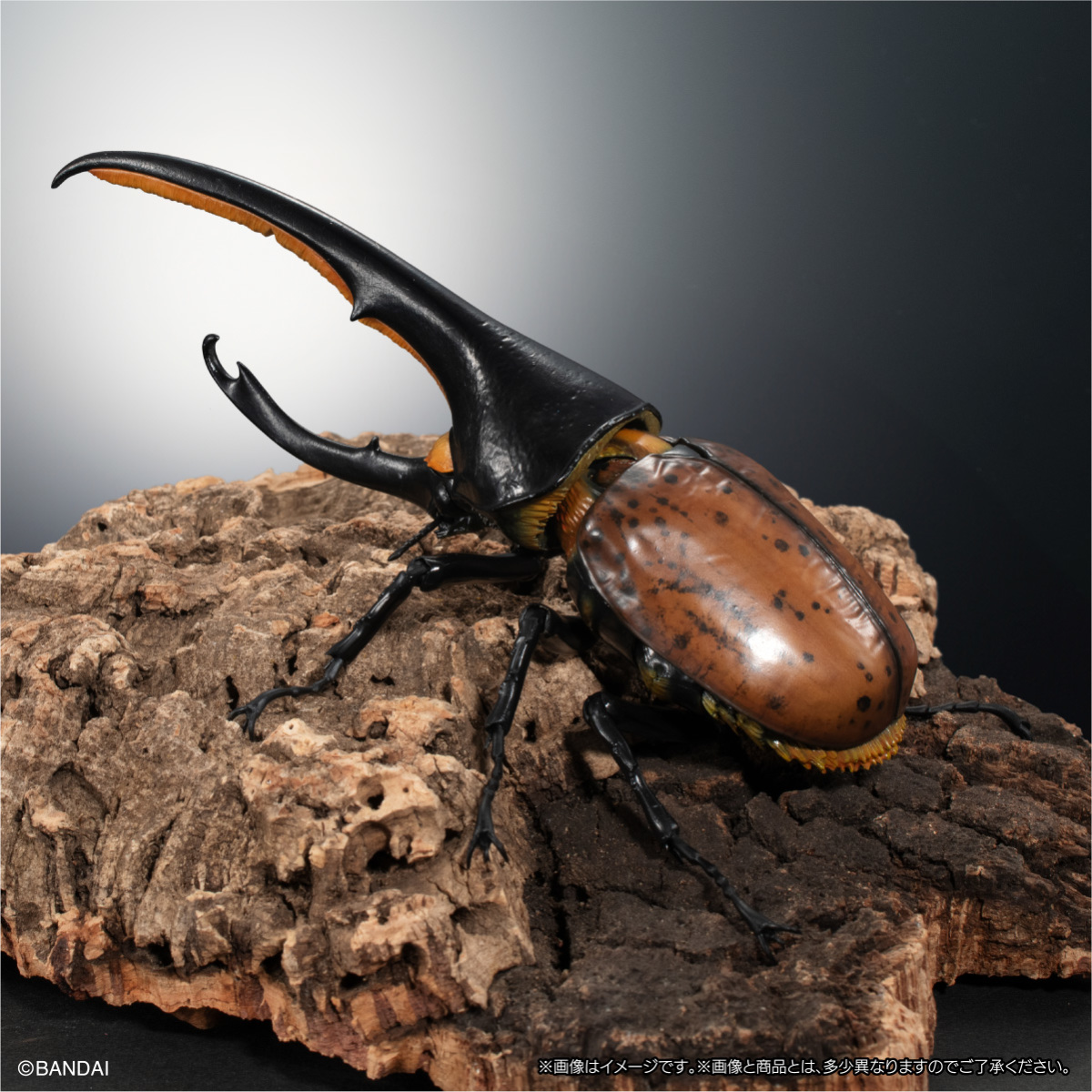 萬代『生物大圖鑑Ultimate 赫克力士長戟大兜蟲』轉蛋 31處可動關節、替換鞘翅極逼真還原!