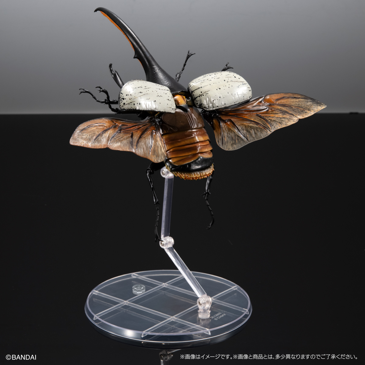萬代『生物大圖鑑Ultimate 赫克力士長戟大兜蟲』轉蛋 31處可動關節、替換鞘翅極逼真還原!