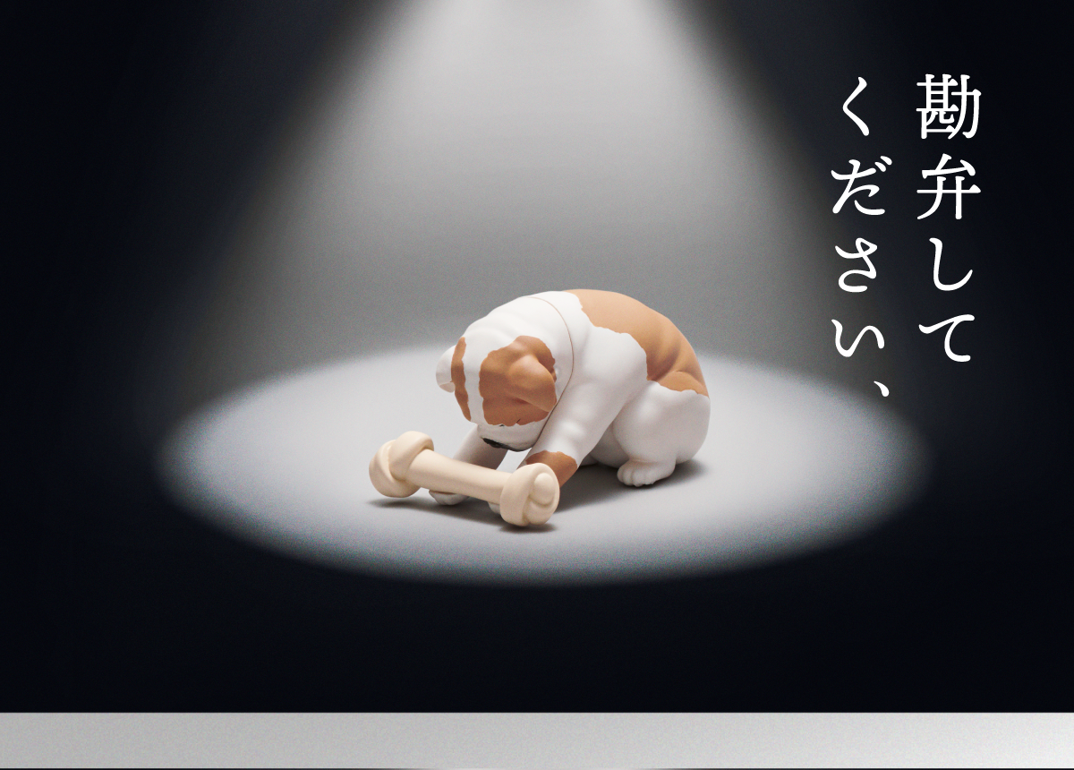 熊貓之穴「請收下。」轉蛋 為了在弱肉強食的世界生存下去、獻上最珍惜之物！（お納めください。）