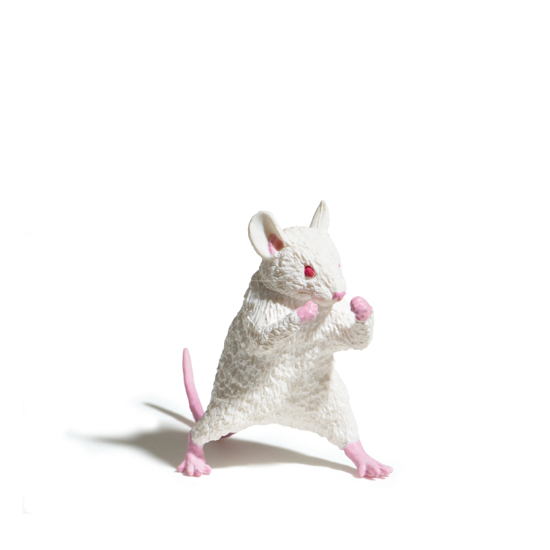 請支援輸贏！YELL エール『怎麼可能輸！』動物盒玩，擺出輸贏姿態的動物們可愛登場！