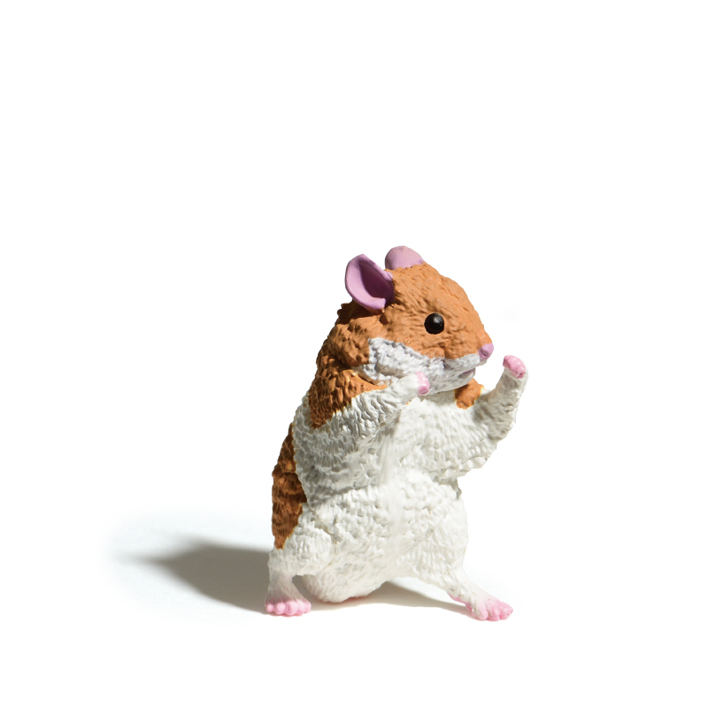 請支援輸贏！YELL エール『怎麼可能輸！』動物盒玩，擺出輸贏姿態的動物們可愛登場！