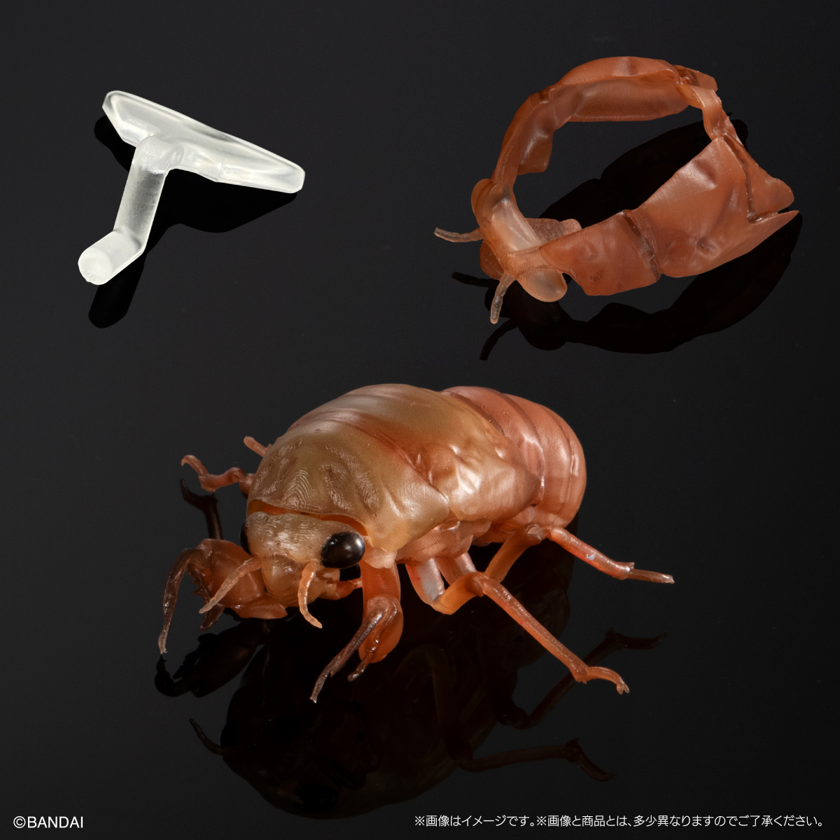 萬代『生物大圖鑑Ultimate 蟬01 展示架套組』附有木頭型支架 夏天就是要抓蟬啊！