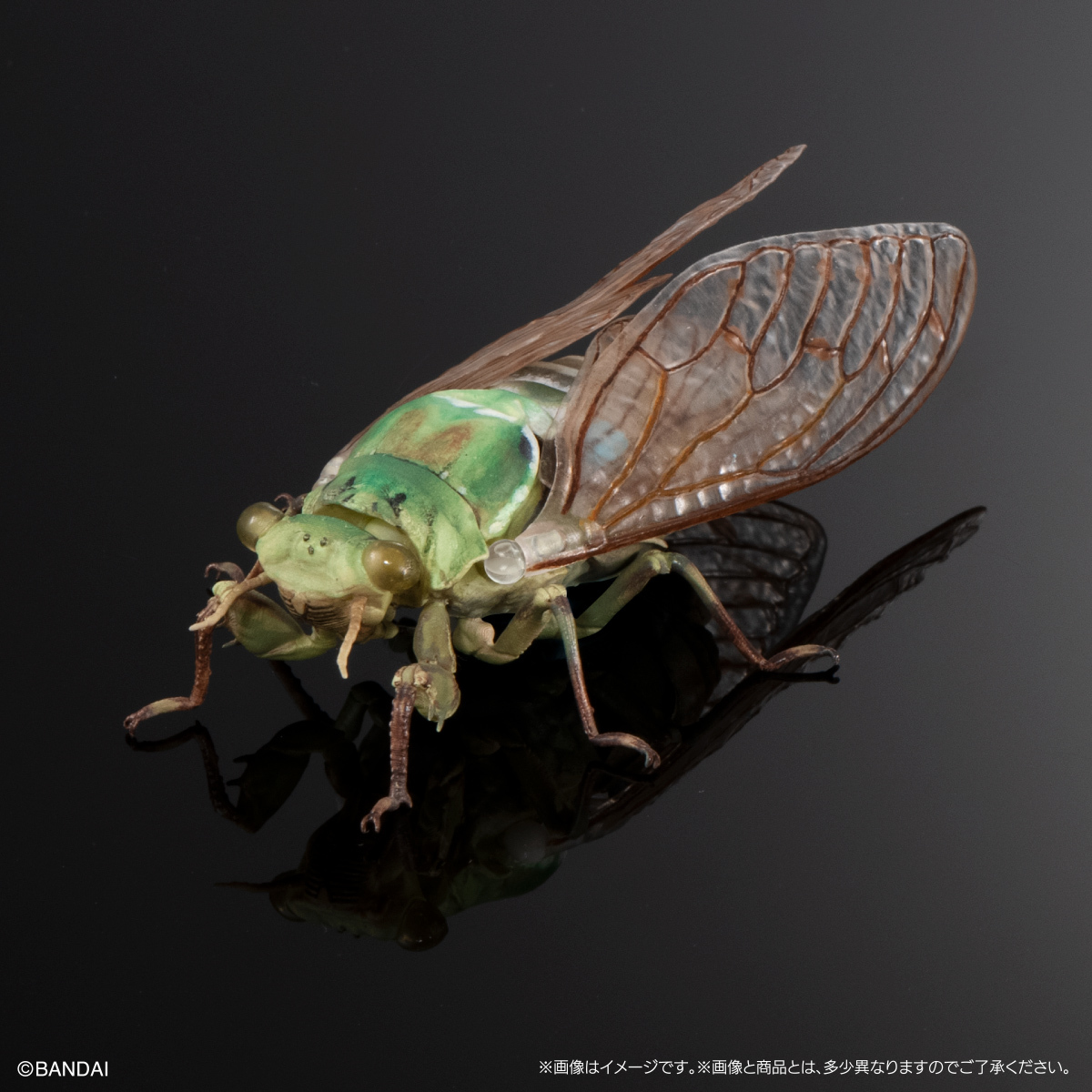 萬代『生物大圖鑑Ultimate 蟬01 展示架套組』附有木頭型支架 夏天就是要抓蟬啊！