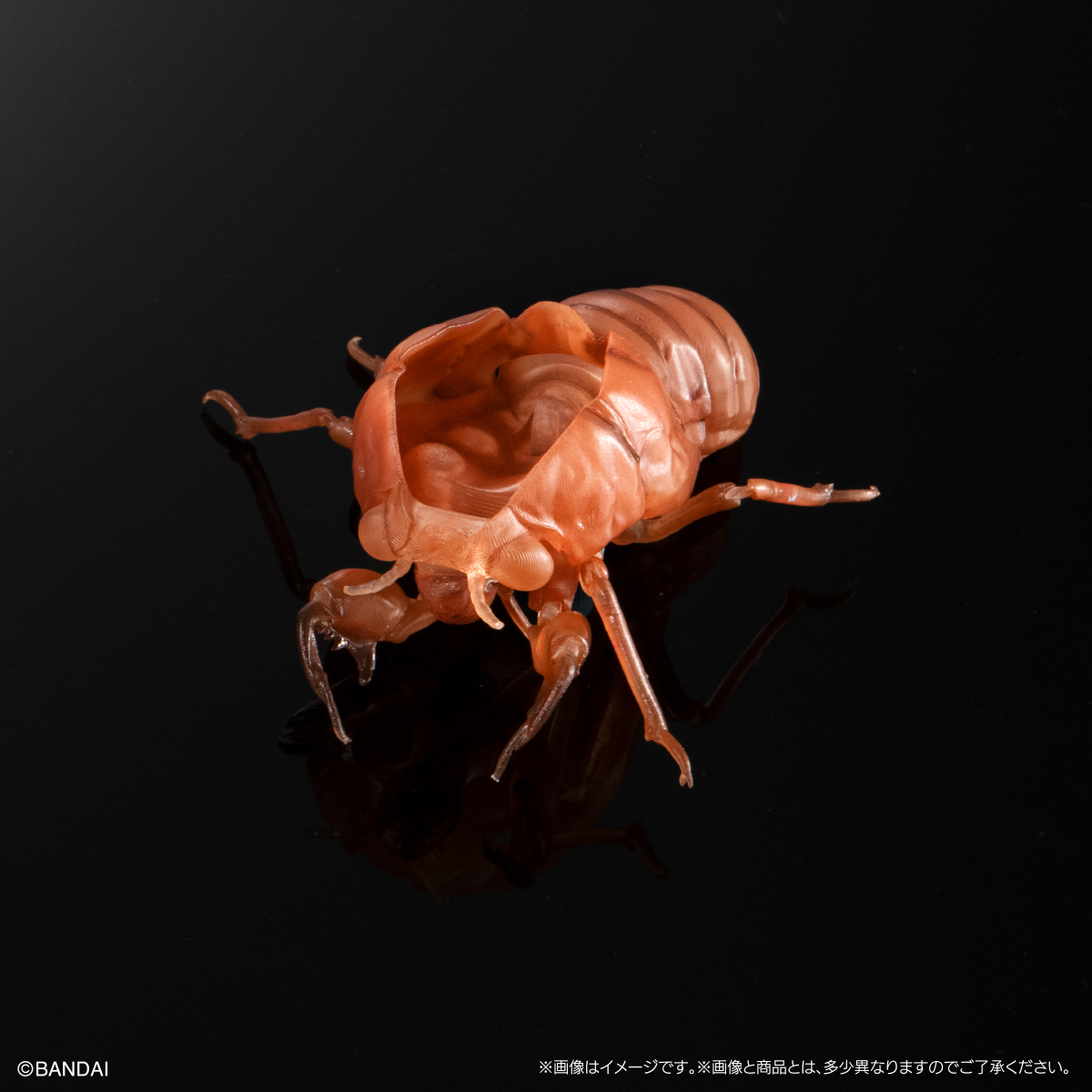 萬代『生物大圖鑑Ultimate 蟬01 展示架套組』附有木頭型支架 夏天就是要抓蟬啊！