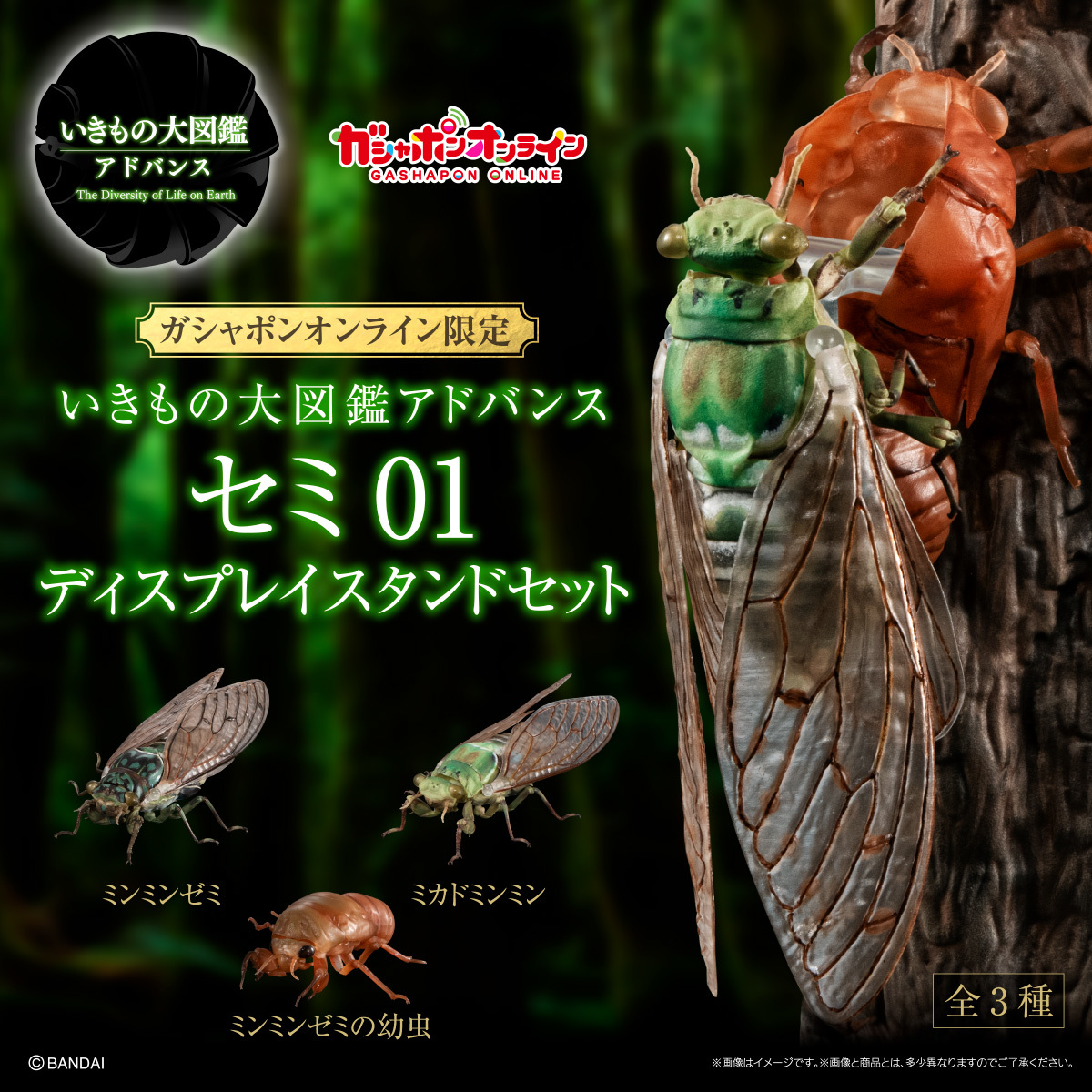 萬代『生物大圖鑑Ultimate 蟬01 展示架套組』附有木頭型支架 夏天就是要抓蟬啊！