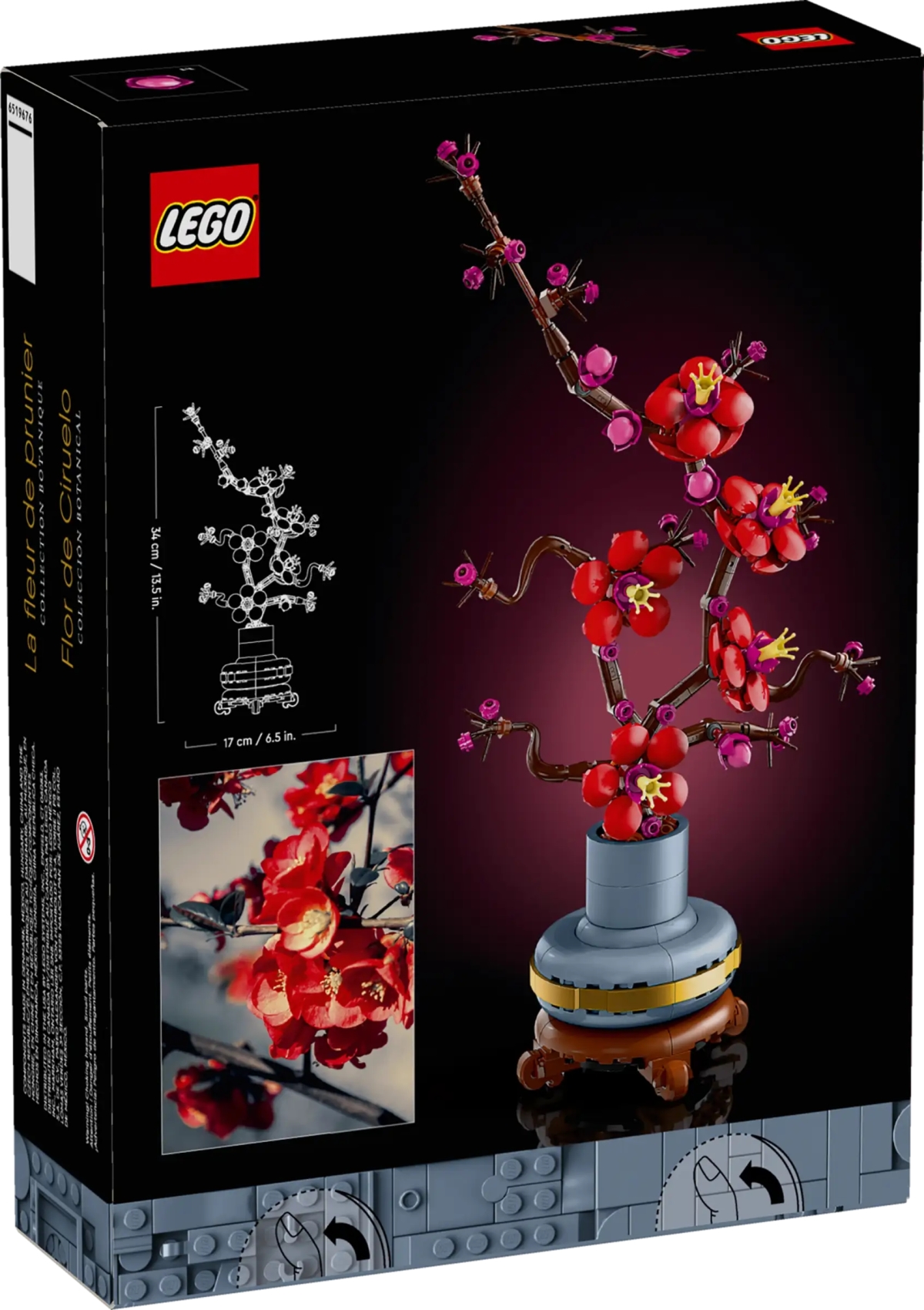LEGO 10368「菊花」（Chrysanthemum）、10369「梅花」 （Plum Blossom）花中四君子即將以樂高形式齊聚一堂！？