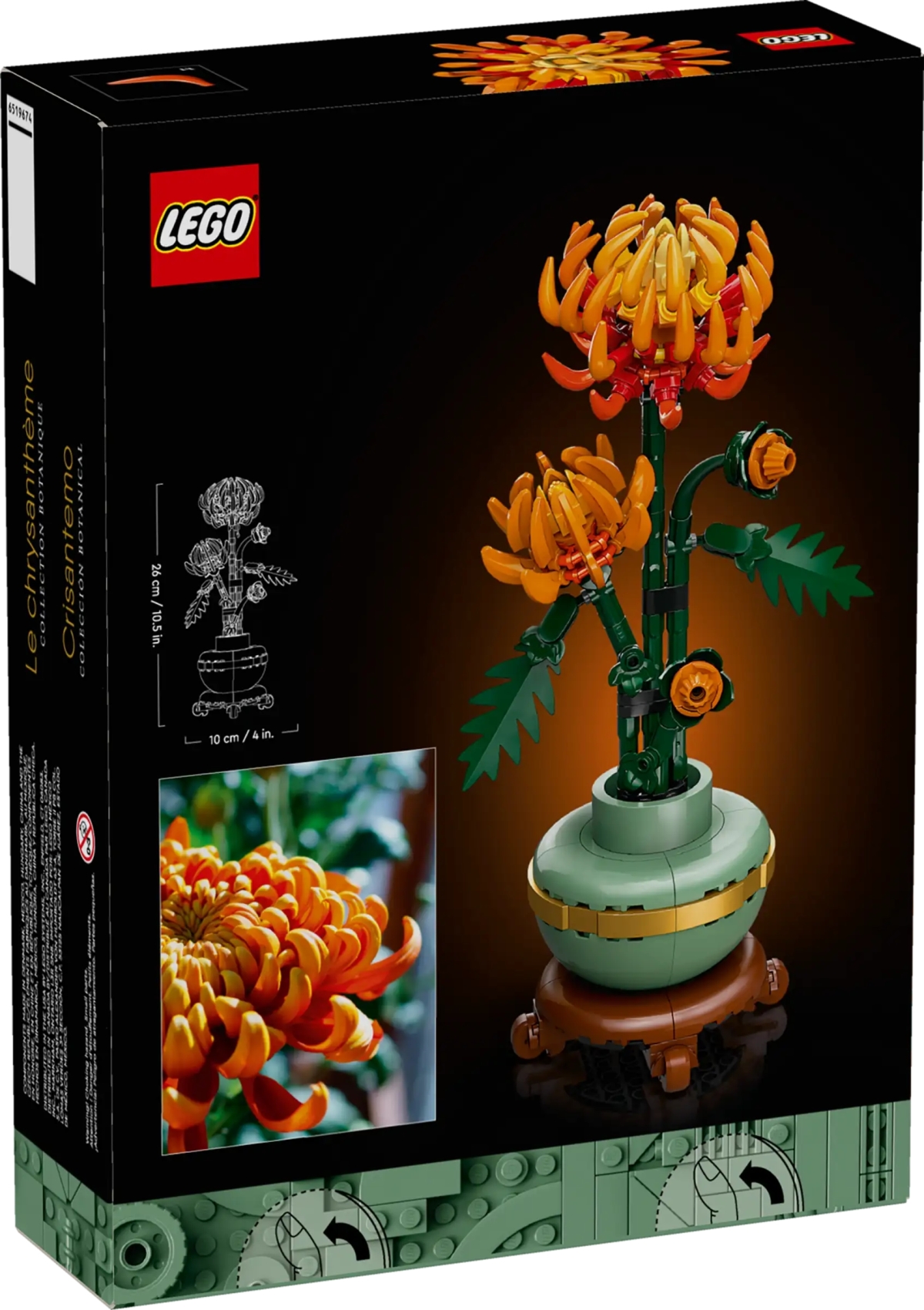 LEGO 10368「菊花」（Chrysanthemum）、10369「梅花」 （Plum Blossom）花中四君子即將以樂高形式齊聚一堂！？