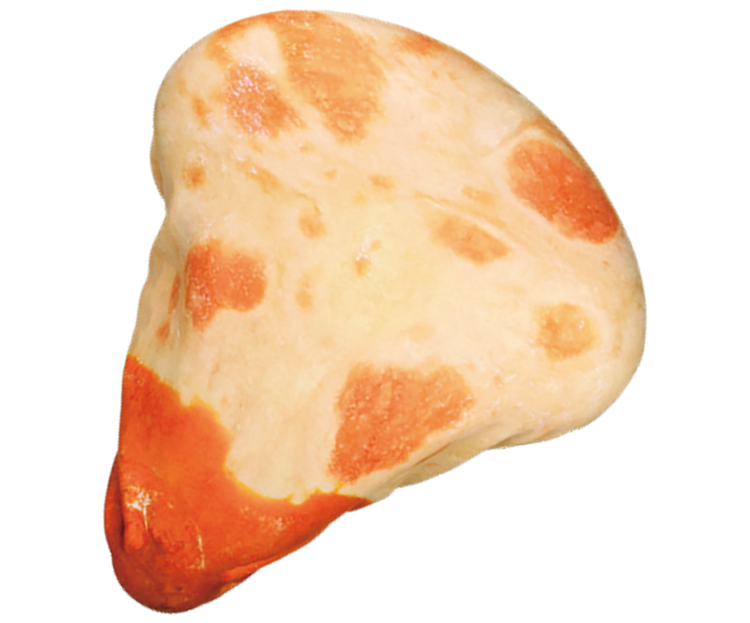 tarlin「饢餅腳踏車座墊套」轉蛋（ナンのサドルカバー）用奔馳的熱情跟堅強的屁屁烤出完美麵餅！