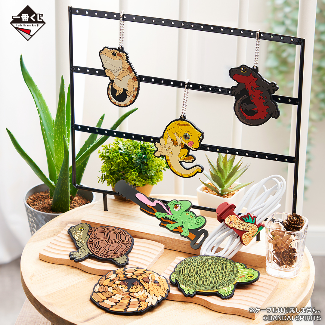 見逃し厳禁！おトクな 一番くじ 爬虫類&両生類 トカゲ（爬虫類&両生類 一番くじ A賞B賞 その他