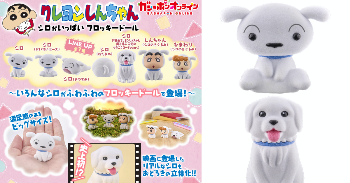 GASHAPON『《蠟筆小新》好多小白 ​​植絨角色模型』轉蛋，收錄光榮燒肉之路的寫實造型小白！