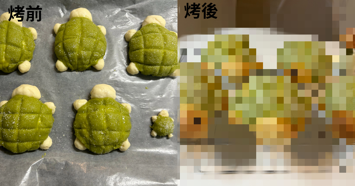 烘焙大成功！推主手工製作「烏龜波蘿麵包」其結果好到不行，可愛到讓人不敢吃！