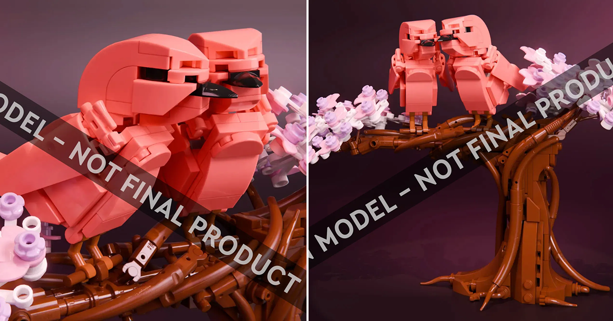 LEGO IDEAS「Build from the Heart」拼砌競賽結果出爐！「愛情鳥」（Love Birds）確定商品化
